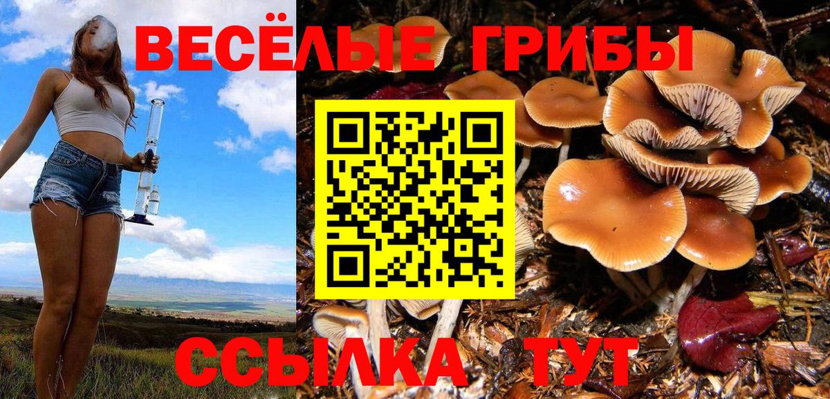 Галлюциногенные грибы Cubensis  Вход с VPN  Саранск  Псилоцибиновые грибы мухоморы 