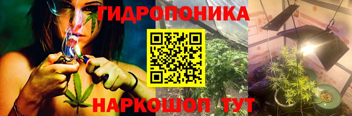 Канабис сатива Саранск